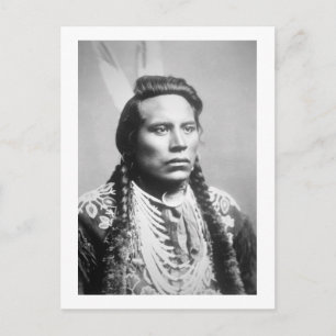 Curley vom Stamm Crow, einer der Späher von Custer Postkarte