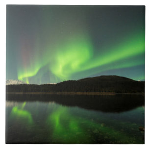 Curling Aurora Fliese