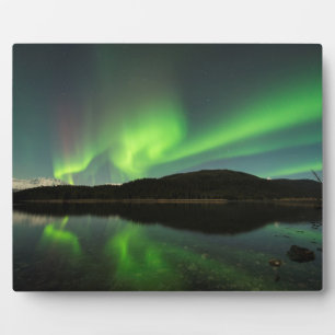 Curling Aurora Fotoplatte