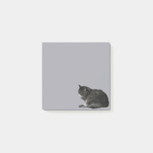 Curling Up Stripe Cat Foto Cutout Lila