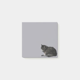 Curling Up Stripe Cat Foto Cutout Lila Post-it Klebezettel