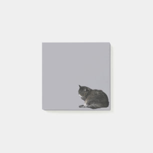 Curling Up Stripe Cat Foto Cutout Lila Post-it Klebezettel