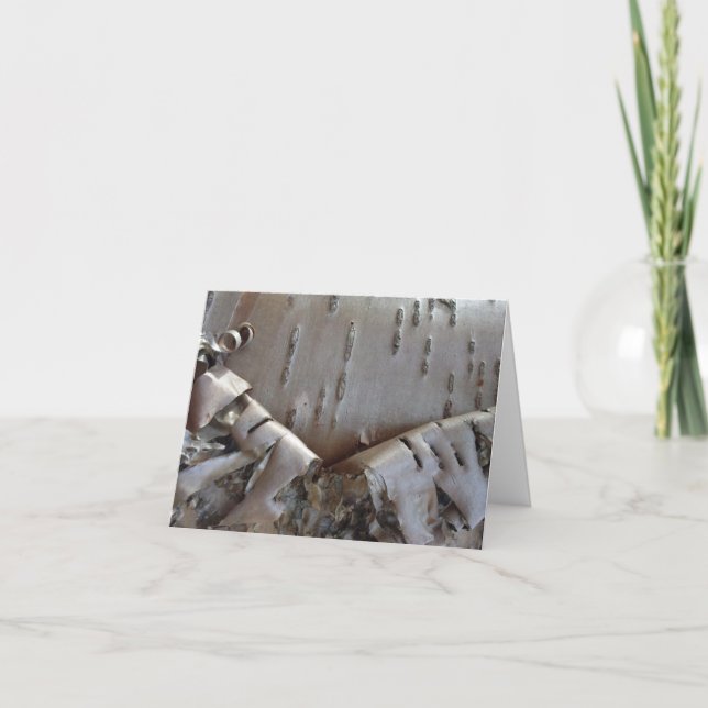 Curly Birch Bark Tree Rustic (Vorderseite)