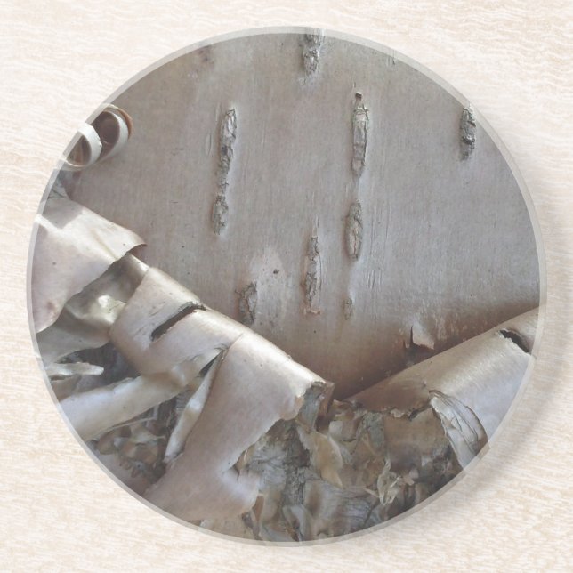 Curly Birch Bark Tree Rustic Getränkeuntersetzer (Vorne)