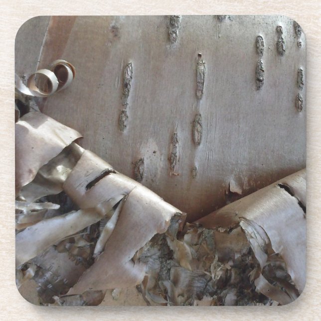 Curly Birch Bark Tree Rustic Getränkeuntersetzer (Vorderseite)