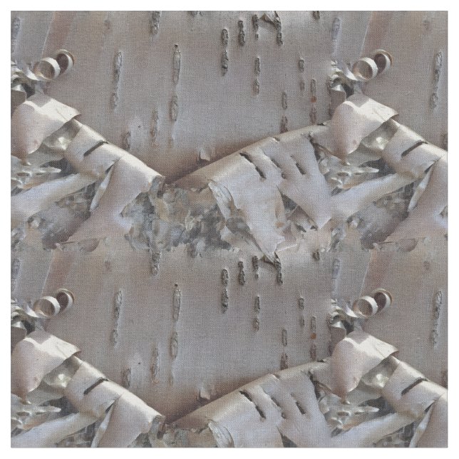 Curly Birch Bark Tree Rustic Stoff (Nahaufnahme)