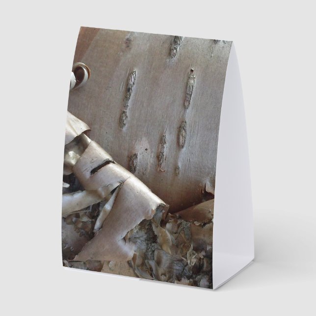 Curly Birch Bark Tree Rustic Tischaufsteller (Vorderseite)