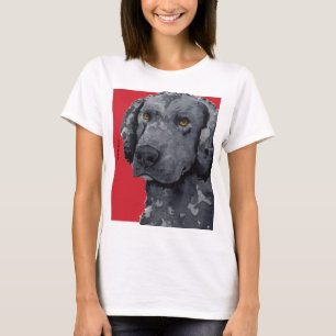Curly Coated Retriever Color Block T-Shirt