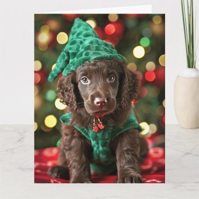 Curly Coated Retriever Elf Welpe Weihnachtskarte Karte (Vorderseite)