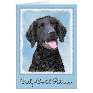 Curly Coated Retriever Painting - Original Dog Art