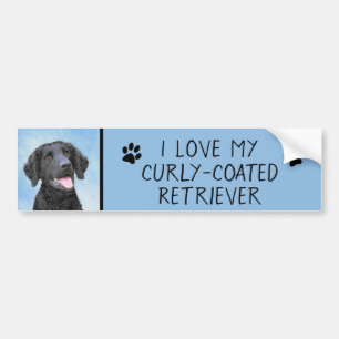 Curly Coated Retriever Painting - Original Dog Art Autoaufkleber