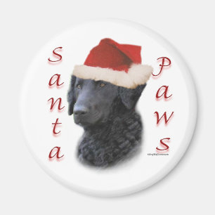 Curly Coated Retriever Santa Paws Magnet