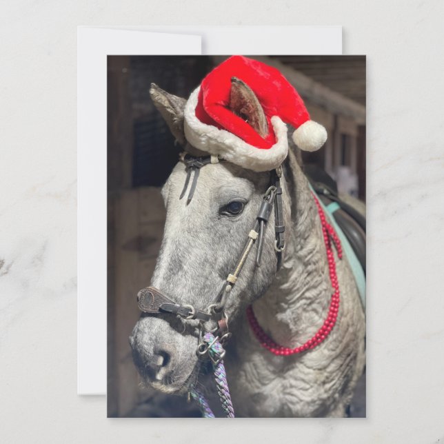 Curly Horse Weihnachtskarte Dankeskarte (Vorderseite)