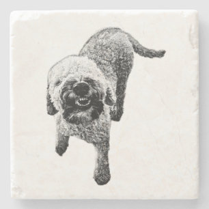 Curly Lagotto Untersetzer – Grinsender Hund Kunst
