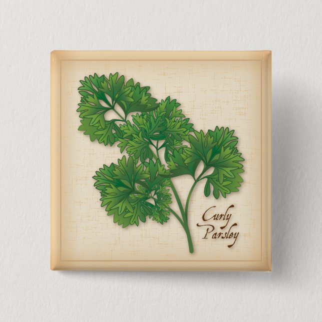 Curly Parsley Herb Button (Vorderseite)