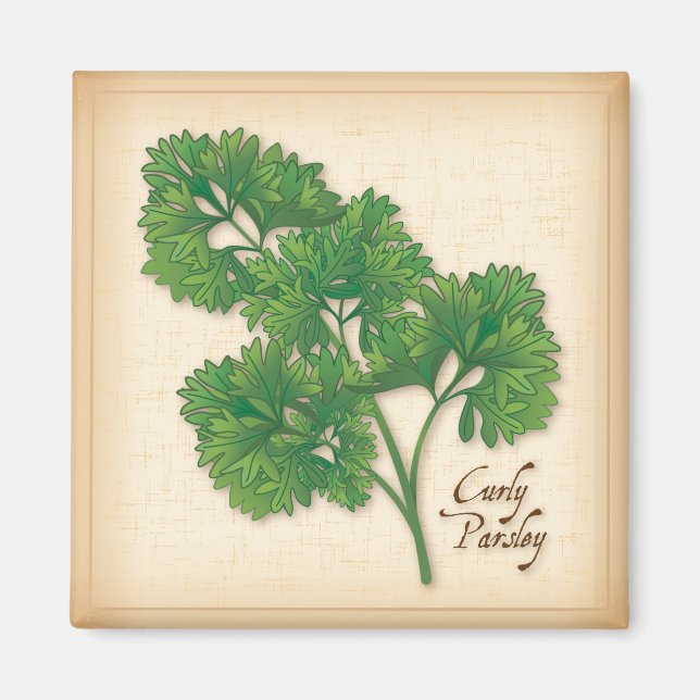 Curly Parsley Herb Magnet (Vorne)