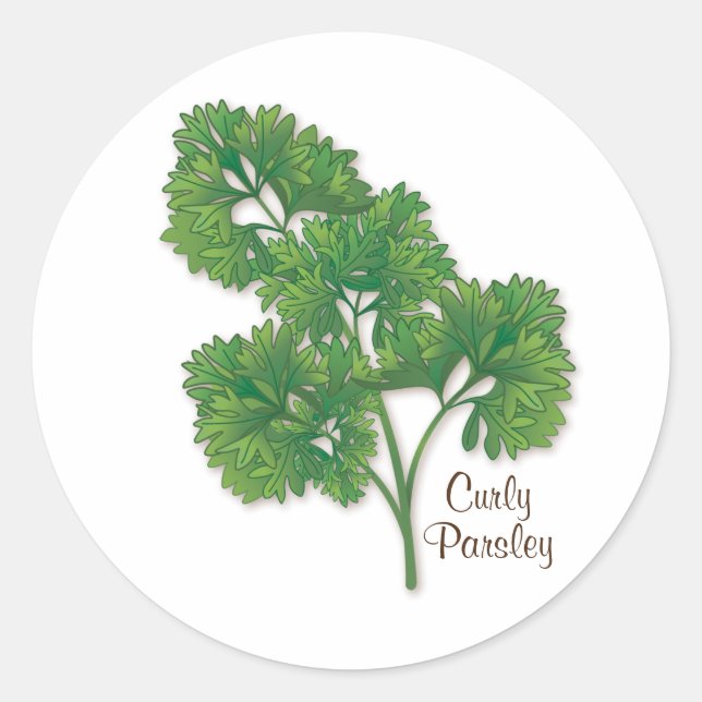Curly Parsley Round Aufkleber (Vorderseite)