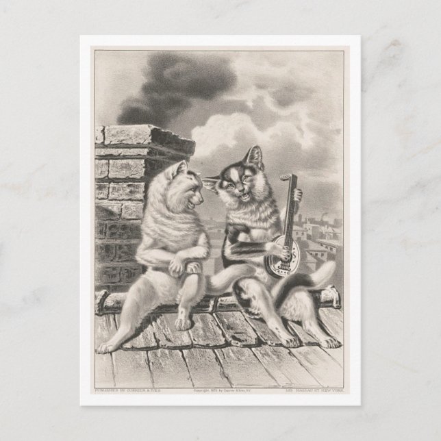 Currier & Ives Cat Serenade Postkarte (Vorderseite)
