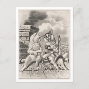 Currier & Ives Katzenständchen Postkarte