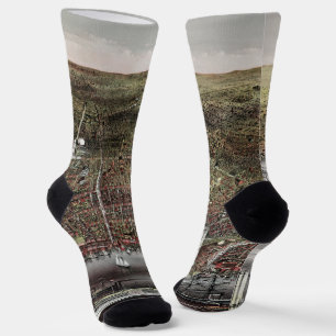 Currier und Ives Druck von Brooklyn, 1886 Socken