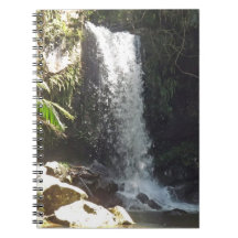 Curtis Falls