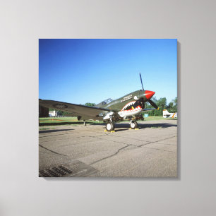 Curtiss P-40 Warhawk, an der Flugschau Minnesotas Leinwanddruck