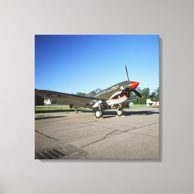 Curtiss P-40 Warhawk, auf der Minnesota CAF Air Sh Leinwanddruck (Vorderseite)