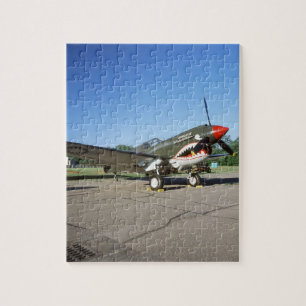 Curtiss P-40 Warhawk, bei der Minnesota CAF Air Sh