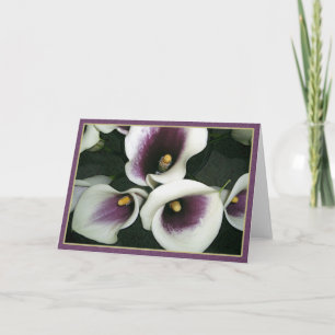 Curvy Callas Karte