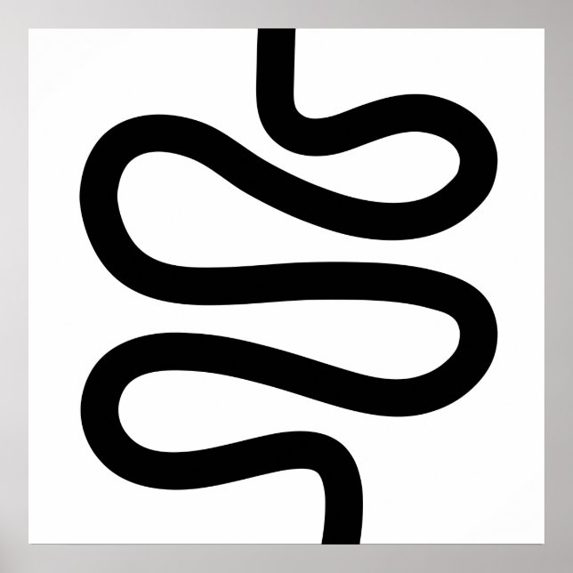 Curvy Line - Schwarz auf Weiß Poster (Vorne)