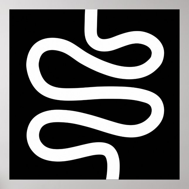 Curvy Line - Weiß auf Schwarz Poster (Vorne)