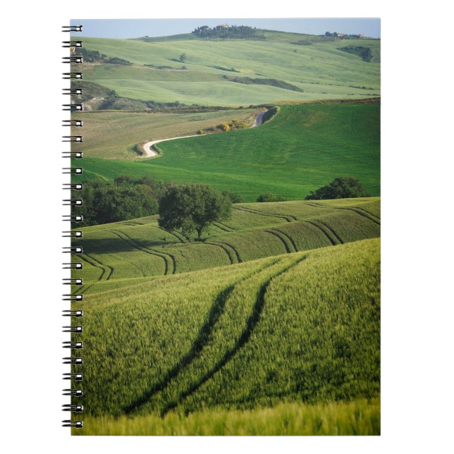 Curvy Linien in grünem Toskana-Notizbuch Notizblock (Vorderseite)