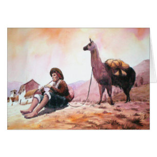 Cusco Peru Lama-Bild