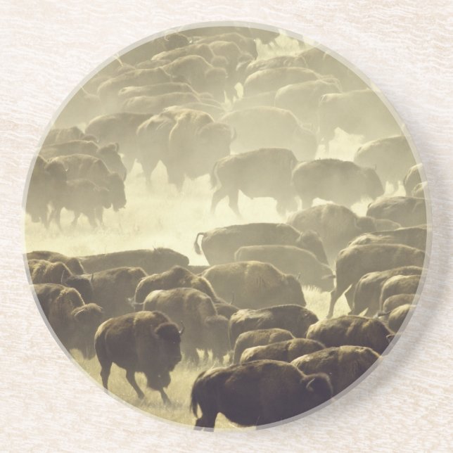 Custer Buffalo Roundup Untersetzer (Vorne)