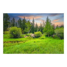Custer Staat Park Legion Lake Area South Dakota Fotodruck