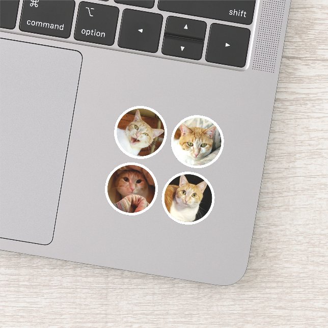 Custom 4 FotoCollage Minimalistisch rund Tiny Viny Aufkleber (Ausschnitt)