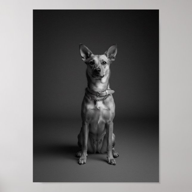 Custom 4K Black & White Pet Portrait Poster (Devant)