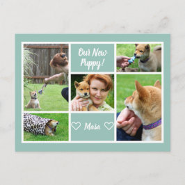 Custom 5 Foto Collage Family Pet Ankündigung Postkarte