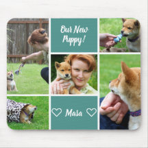 Custom 5 Foto Family Pet