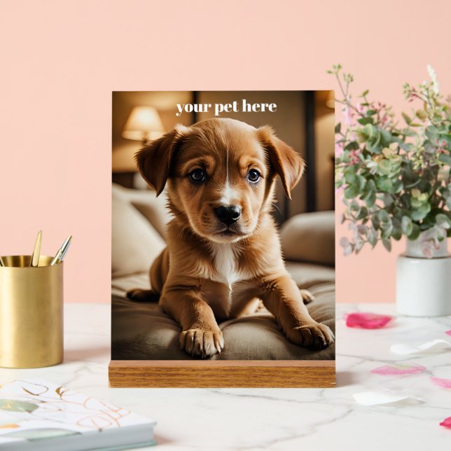 Custom Acrylschild (Hochzeit)