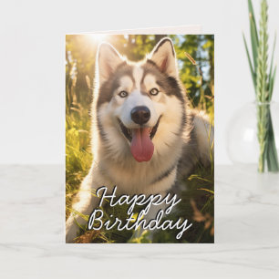 Custom Alaskan Malamute Happy Birthday Card Dankeskarte
