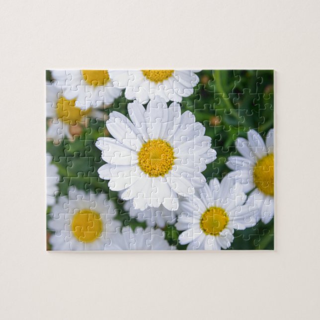 Custom Beautiful Spring Flowers - Daisy (Horizontal)