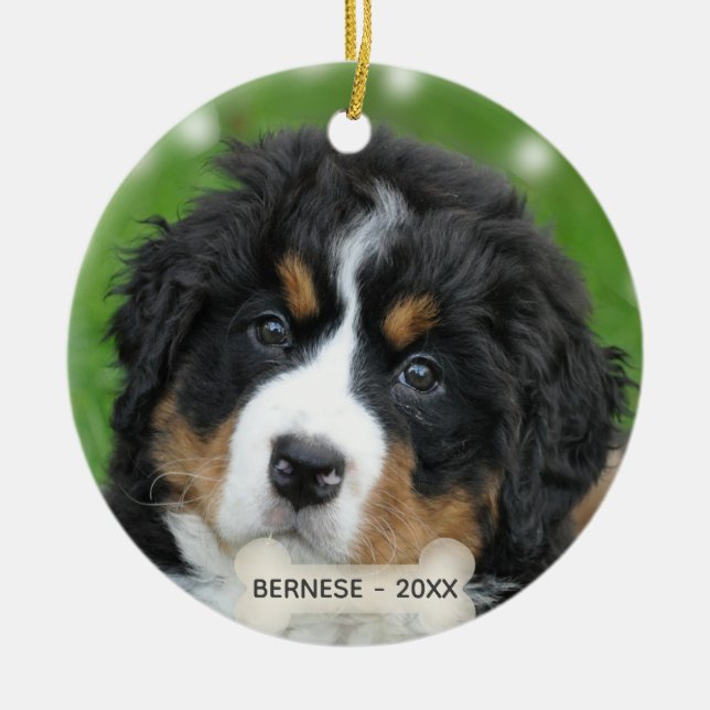 Custom Bernese Mountain Hund Foto Keramik Ornament (Vorne)