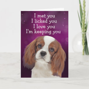 Custom Birthday Card King Charles Cavalier Dankeskarte