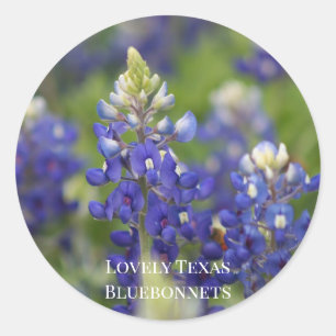 Custom Blue Spring Bluebonnet Texas Staat Blume Runder Aufkleber