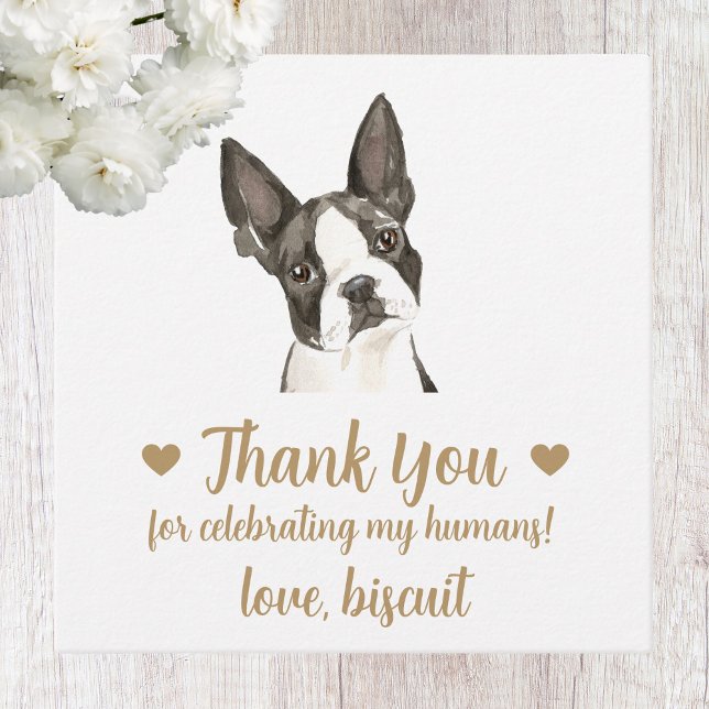 Custom Boston Terrier Dog Gastgeschenk Hochzeit Ta Geschenkanhänger (Von Creator hochgeladen)