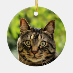 Custom Brown Tabby Cat Foto Keramik Ornament