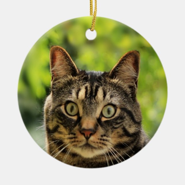 Custom Brown Tabby Cat Foto Keramik Ornament (Vorne)