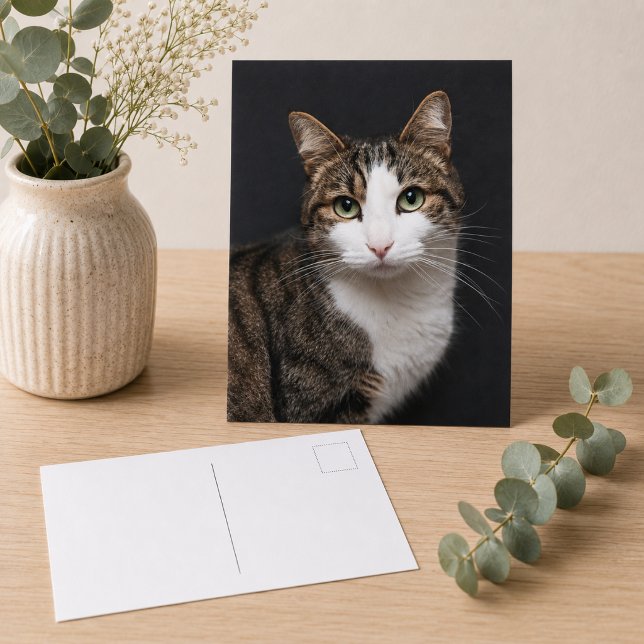 Custom Brown Tabby Cat Single Pet Foto Postkarte (Replace with your own pet photo,  add text using the design tool, if you wish)