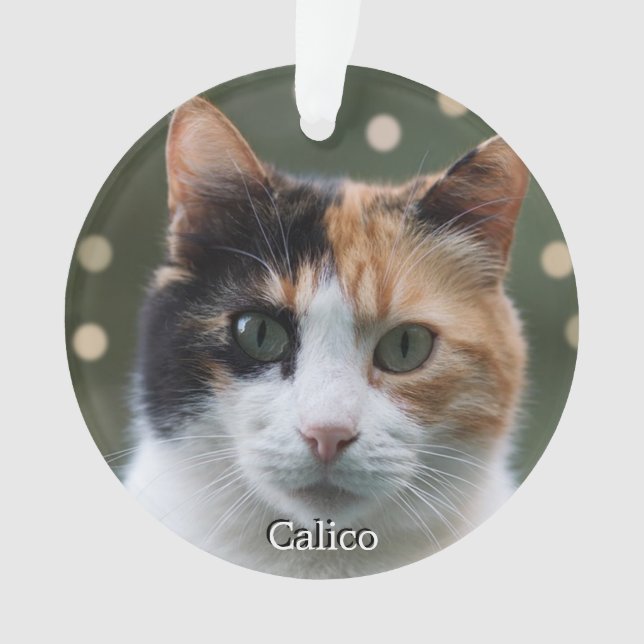 Custom Calico Cat Foto Personalisiert Ornament (Vorderseite)
